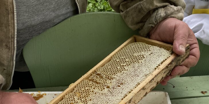 Pobyt na včelí farmě u Karlových Varů: snídaně a apiterapie aneb včelí procedury pro zdraví a relax