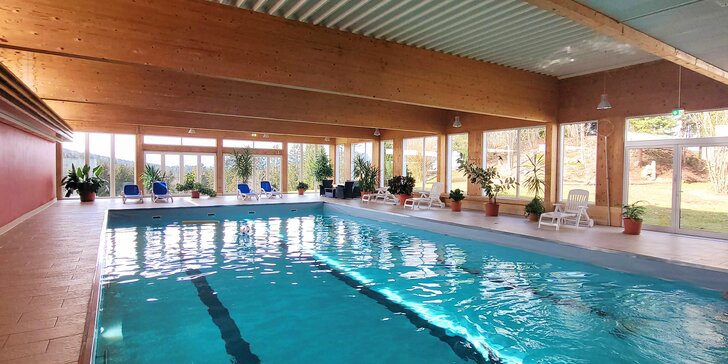 Pronájem apartmánu na německé straně Šumavy i vstupy do wellness s krytým bazénem a saunou