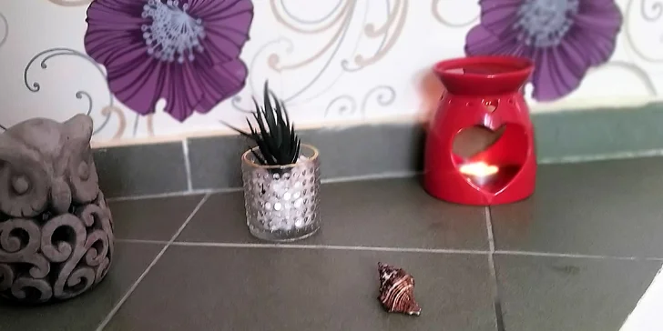 Wellness pro záda v Nymburce: Breussova, aroma masáž nebo rovnou královská masáž