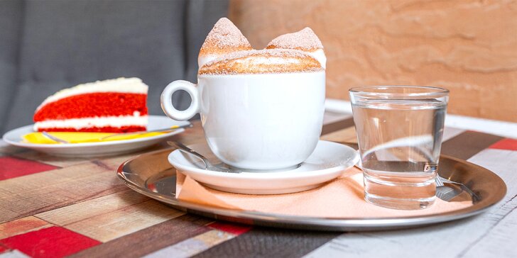 V milé společnosti: káva a slaďoučký dezert dle výběru v kočičí kavárně pro 1 nebo 2 osoby
