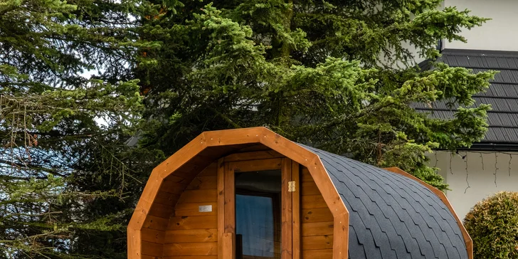 Lesní apartmány blízko aquaparku Terma Bania: privátní wellness, snídaně a slevy na zábavu