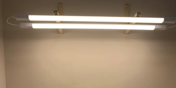 Perfektní obočí pro ženy i muže: úprava teplým voskem, threading i laminace