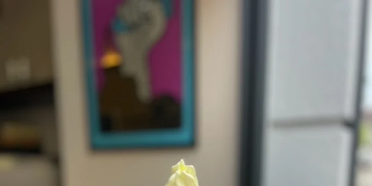 Poctivá opočenská zmrzlina: 1 velká porce dle aktuálního výběru