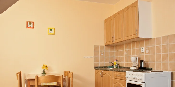 Pobyt na Šumavě: vybavené apartmány, až 3 děti do 14,9 let zdarma