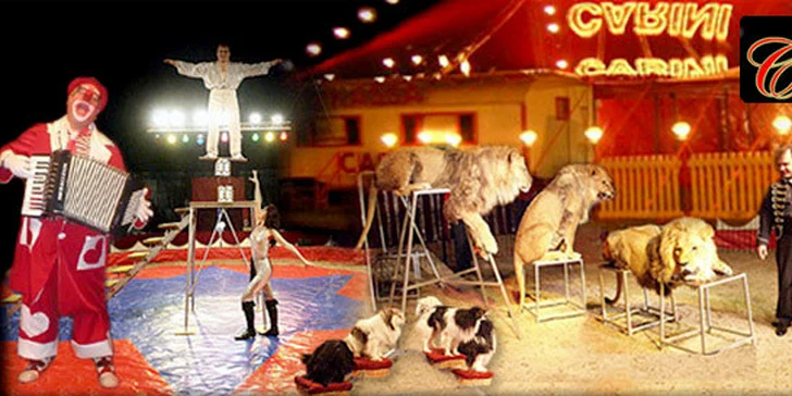 Vstupenky na vánoční show Cirkusu Carini