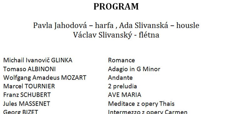 Silvestrovský koncert v Českém muzeu hudby