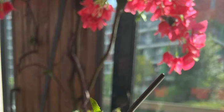 Otevřené vouchery na 300–1500 Kč na cokoli v asijské restauraci Miss Hanoi