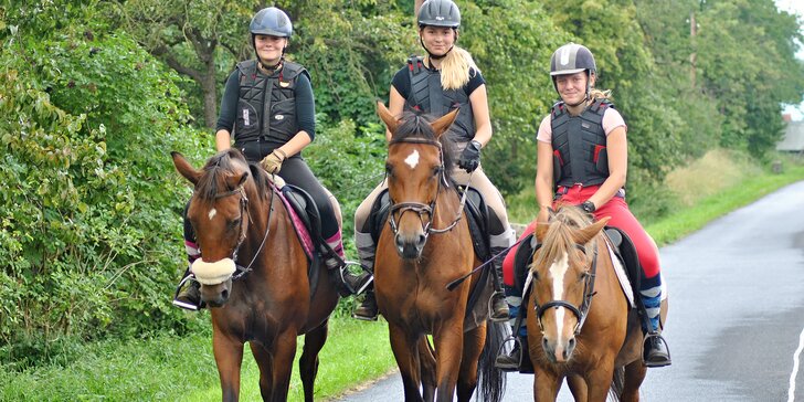 Radost na koňském hřbetu: až 60 min. jízdy v přírodě nebo na jízdárně pro 1 i 2 osoby