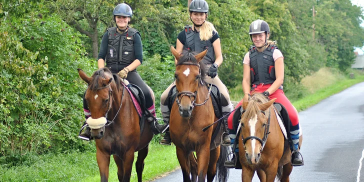Radost na koňském hřbetu: až 60 min. jízdy v přírodě nebo na jízdárně