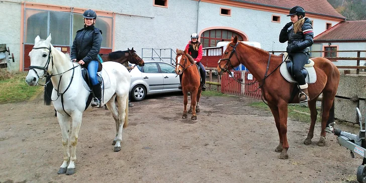 Radost na koňském hřbetu: až 60 min. jízdy v přírodě nebo na jízdárně