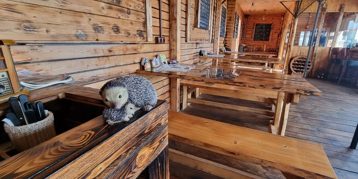 Otevřené vouchery v hodnotě 300-600 Kč do Poctivé restauraci v Uhříněvsi
