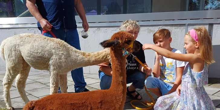 Lama trekking s naučným povídáním pro 2 dospělé a 1 dítě i více osob