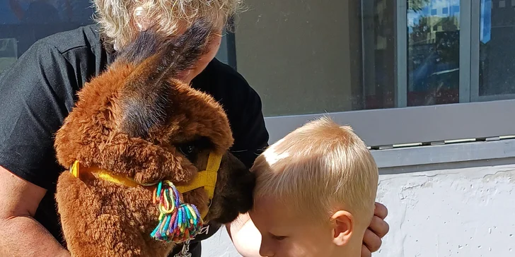 Lama trekking s naučným povídáním pro 2 dospělé a 1 dítě i více osob