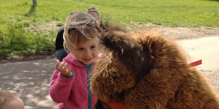 Lama trekking s naučným povídáním pro 2 dospělé a 1 dítě i více osob
