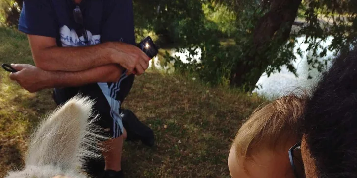 Lama trekking s naučným povídáním pro 2 dospělé a 1 dítě i více osob