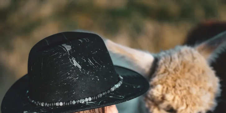 Lama trekking s naučným povídáním pro 2 dospělé a 1 dítě i více osob