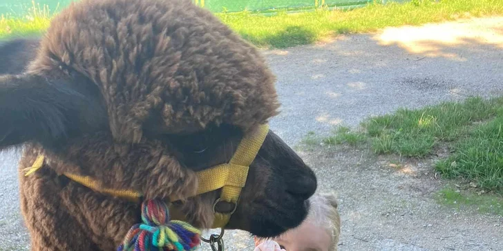 Lama trekking s naučným povídáním pro 2 dospělé a 1 dítě i více osob