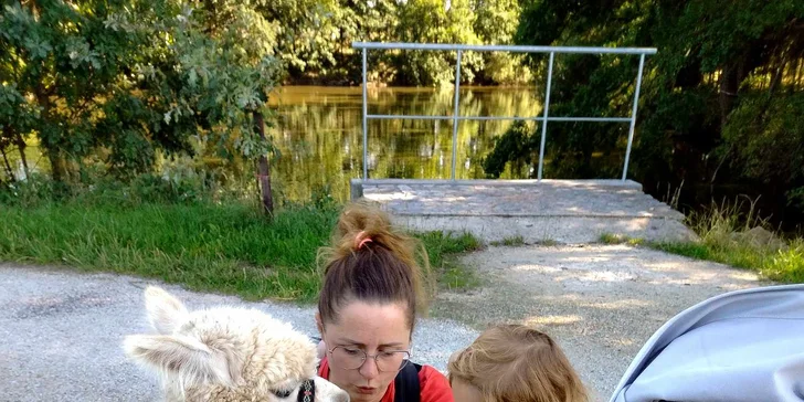 Lama trekking s naučným povídáním pro 2 dospělé a 1 dítě i více osob