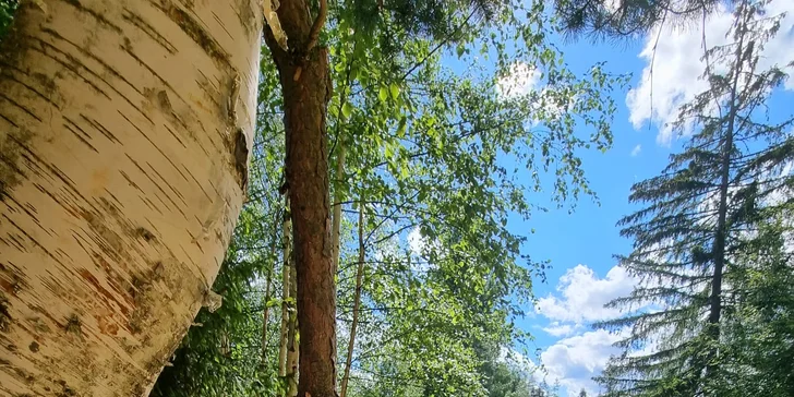 Dobrodružství i romantika v prvním tatranském glampingu: snídaně i možnost grilování