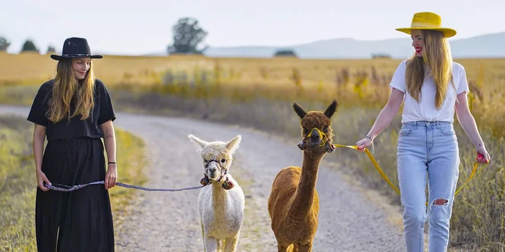 Lama trekking s naučným povídáním pro 2 dospělé a 1 dítě i více osob