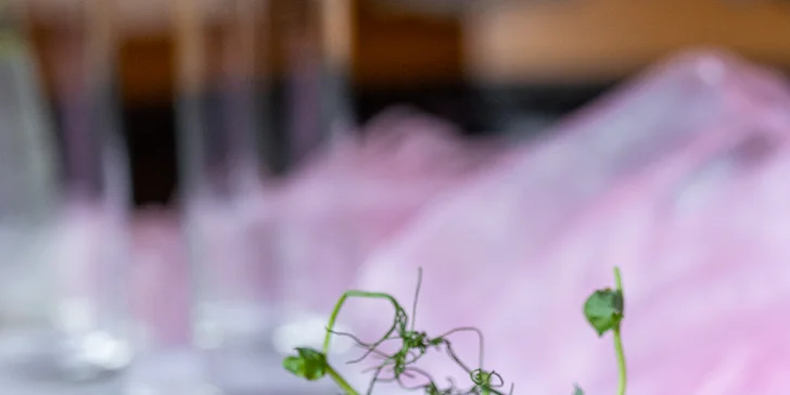 6chodové menu v zámecké restauraci i wellness pro 2 os.: jelení hřbet, kohout na víně i račí polévka