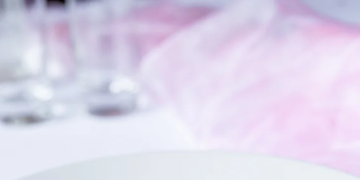6chodové menu v zámecké restauraci i wellness pro 2 os.: jelení hřbet, kohout na víně i račí polévka