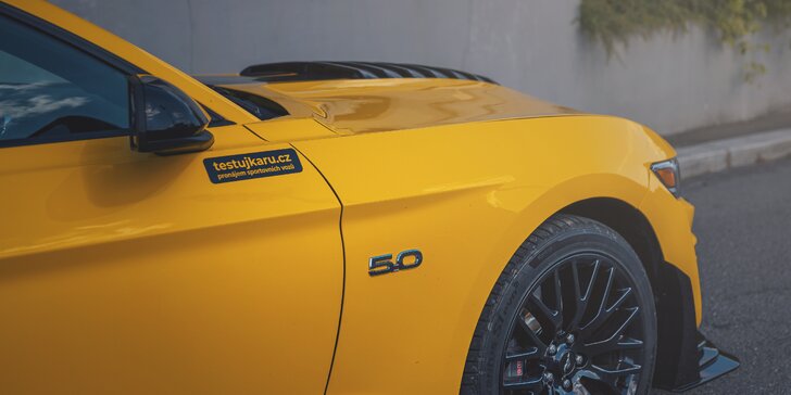 Supervýkonný Mustang Shelby paket GT 5.0 V8: 20–50 minut řízení či spolujízdy a dost času na focení