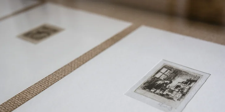 Objevte krásy a historii Dačic: komentovaná prohlídka města se vstupem do městského muzea