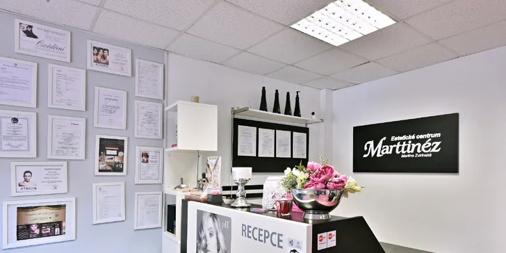 Permanentní make-up dolních i horních linek, microblading i stínování obočí či kontura i celé rty
