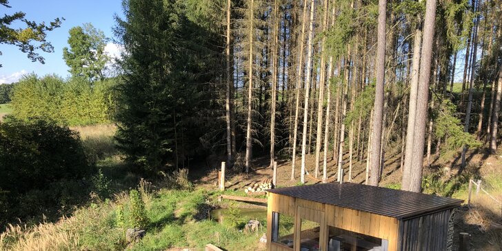 Dřevěná chatička U pěti veverek uprostřed lesa na Vysočině