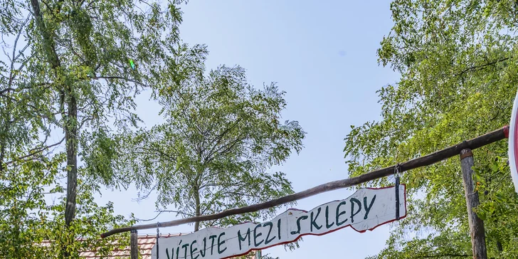 Dovolená v blízkosti Pálavy: apartmán s vinným sklípkem i pobyt degustací pro 2 osoby