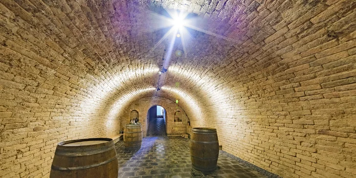 Dovolená v blízkosti Pálavy: apartmán s vinným sklípkem i pobyt degustací pro 2 osoby