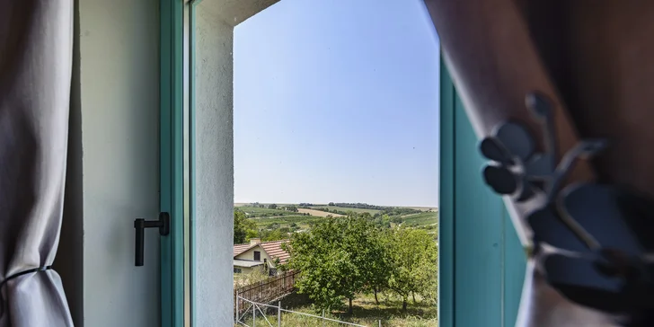 Dovolená v blízkosti Pálavy: apartmán s vinným sklípkem i pobyt degustací pro 2 osoby