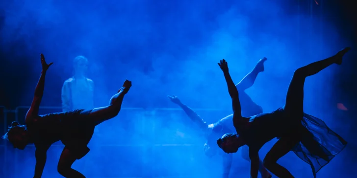 Vstupenka na akrobatické představení od LOSERS CIRQUE COMPANY