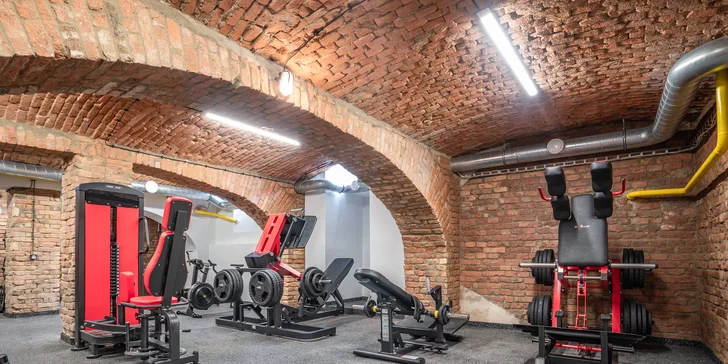 1-4 vstupy do nového fitness v gymu Destiny v Králově poli + protein ke každé návštěvě