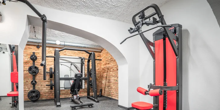 1-4 vstupy do nového fitness v gymu Destiny v Králově poli + protein ke každé návštěvě