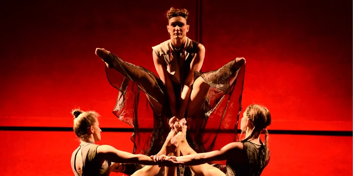 Vstupenka na akrobatické představení od LOSERS CIRQUE COMPANY