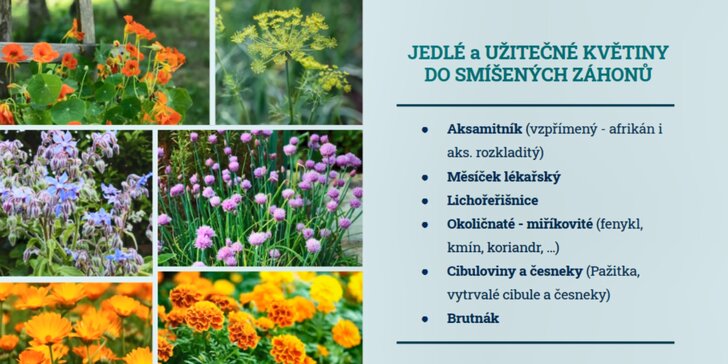 Online kurzy ekologického zahradničení: pro zeleninu bez chemie a rytí, pro sklizeň během mrazivé zimy i suchého léta