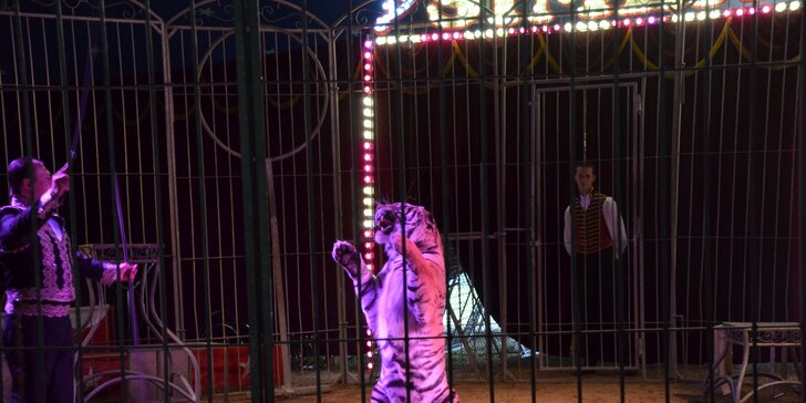Nová show Cirkusu Šimek v Táboře: vstupenky pro děti i dospělé