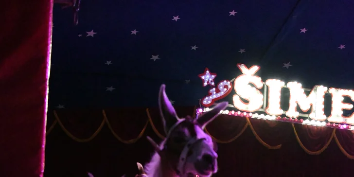 Nová show Cirkusu Šimek v Plzni: vstupenky pro děti i dospělé
