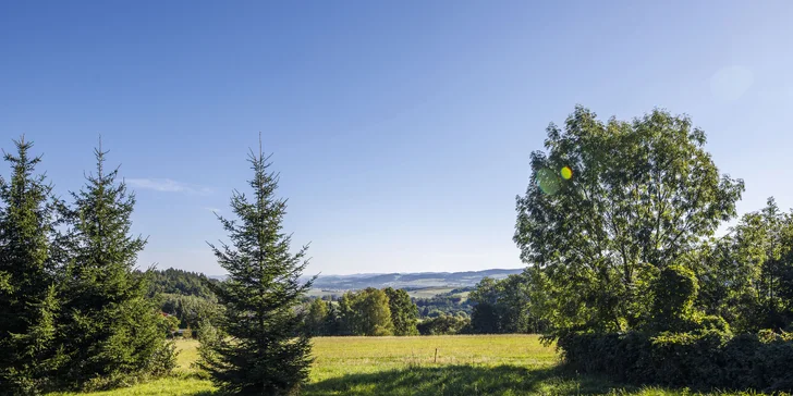 Za krásami Šumavy: penzion s polopenzí a wellnessem pro 2 osoby