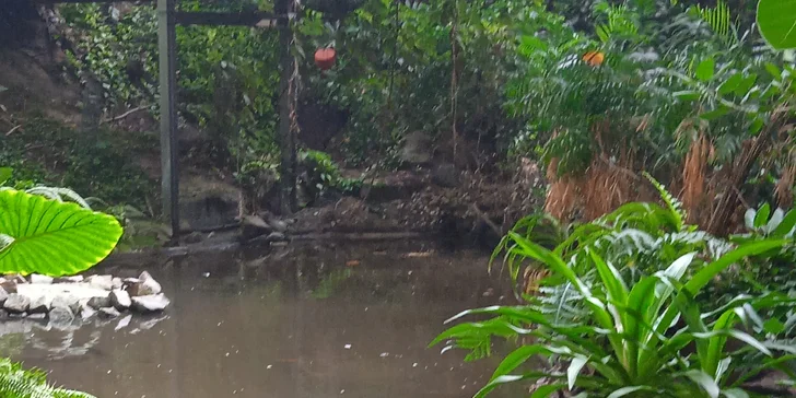 Celodenní vstupné pro děti i dospělé do vodního světa Tropical Islands v Německu