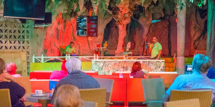 Pobyt na Tenerife: jídlo, 3 venkovní bazény, pláž 10 minut, zábavní program pro malé i velké