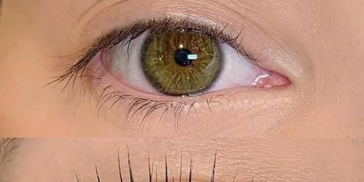 Laminace obočí nebo lash lifting v salonu na Vinohradech