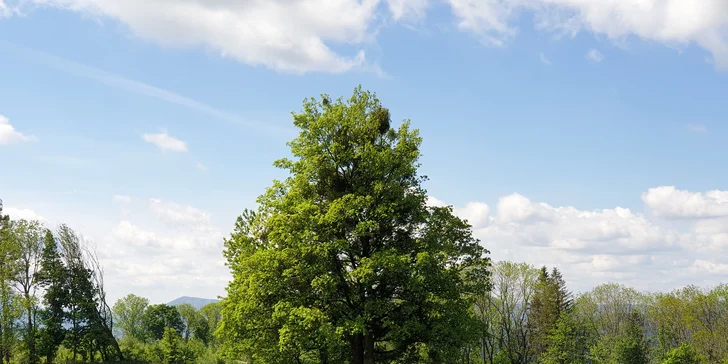 Romantický pobyt se snídaní a hodinou privátního wellness v zámečku na Čeladné