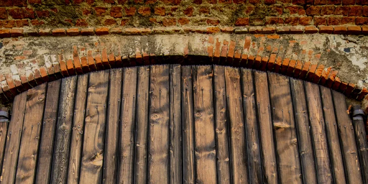 Párové nebo rodinné focení v přírodě: 8-12 fotografií