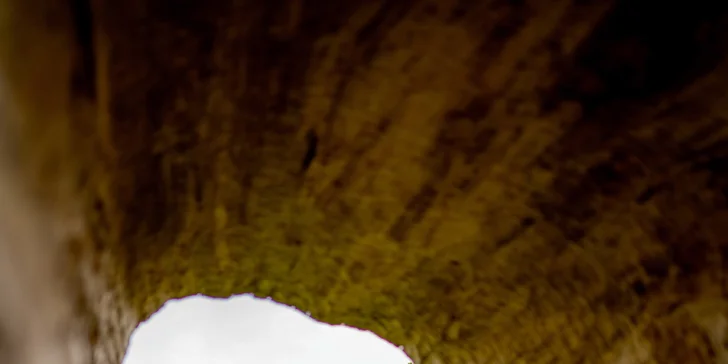 Párové nebo rodinné focení v přírodě: 8-12 fotografií