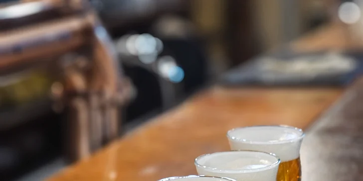 Prohlídka muzea pivovarnictví, Žateckého pivovaru, vodárenské věže a degustace piv