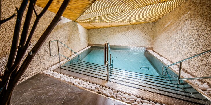 Relax na Šíravě: neomezený vstup do wellness i aquaparku a polopenze