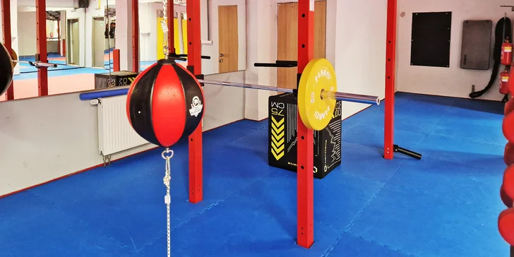 1, 5 nebo 10 vstupů do fitness a na VacuShape pro redukci pomerančové kůže